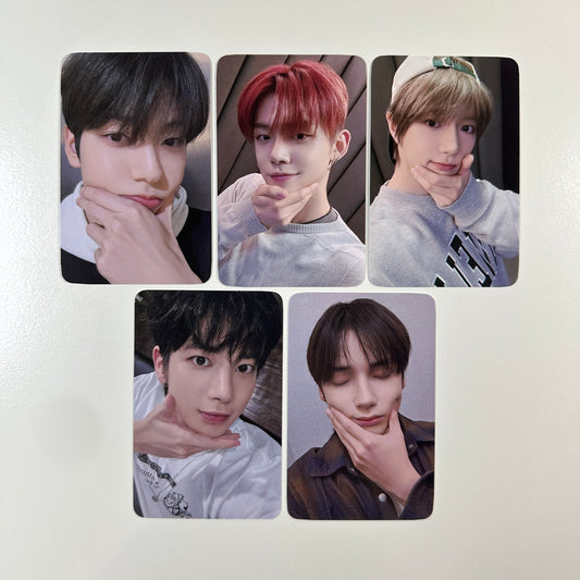 [official] sanctuary dearmymuse round 1 photocards